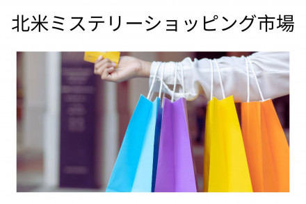 North America Mystery Shopping Market