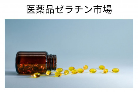 Pharmaceutical Gelatin Market