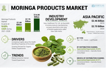 Moringa Products Market