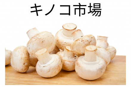 Mushroom Market JP