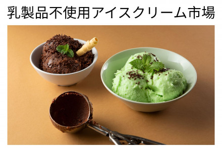 Non-Dairy Ice Cream Market JP