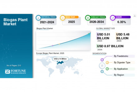 Biogas Plant Market