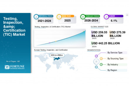 Testing Inspection and Certification Market