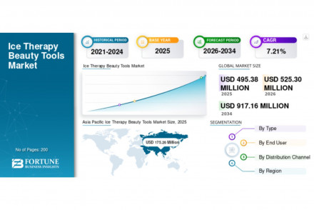 Ice Therapy Beauty Tools Market