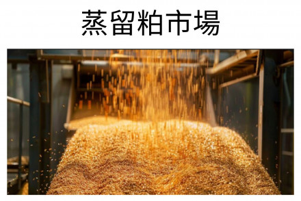 Distiller’s Grain Market