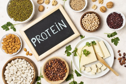 Alternative Protein Market
