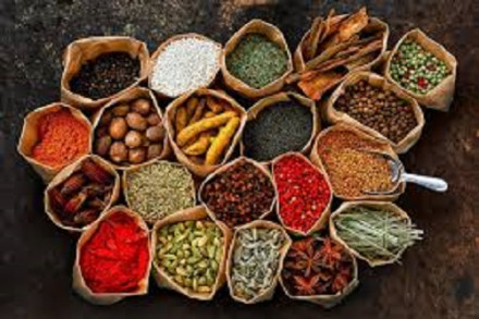 Specialty Food Ingredients Market