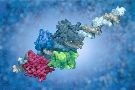 Antifreeze Proteins Market