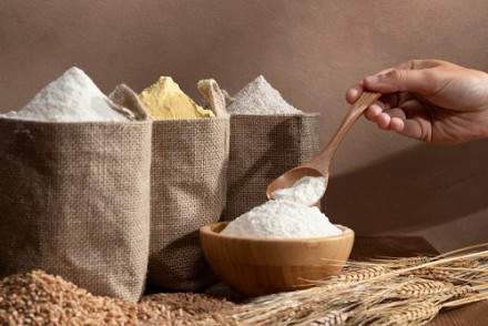 Industrial Starch Market