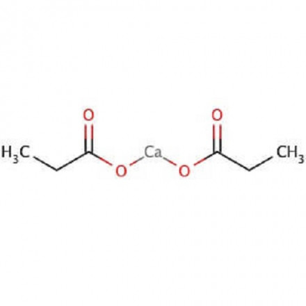 Calcium Propionate Market