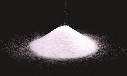 Industrial Salt Market