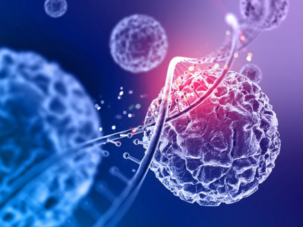 Cell Therapy Market