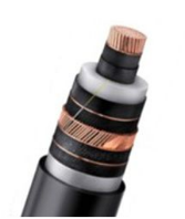 電線&ケーブル、グローバルトップ21企業のランキングと市場シェア46