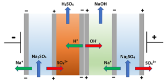 双極膜電気透析システム、グローバルトップ13企業のランキングと市場シェア19