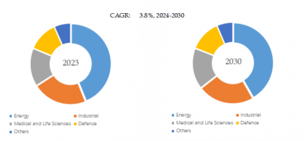 Portable Radiation Monitors, Global Top 17 Players, Market Share and Ranking (2024)975