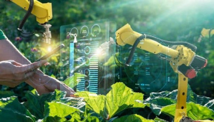 Artificial Intelligence in Agriculture