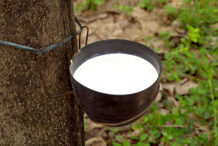 Natural Rubber