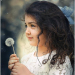 perryvaleアイコン