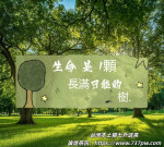 貓七V18737pwcomアイコン